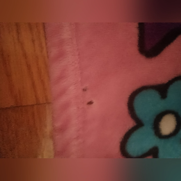 Hello kitty warm and cozy blanket - Picture 11 of 16